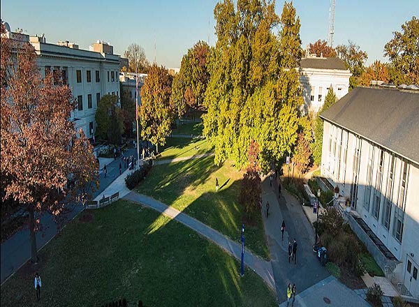 America University