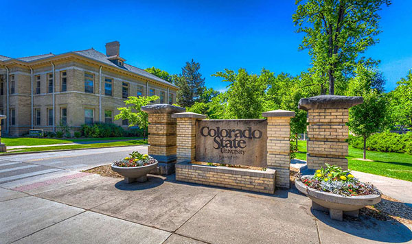 colorado university