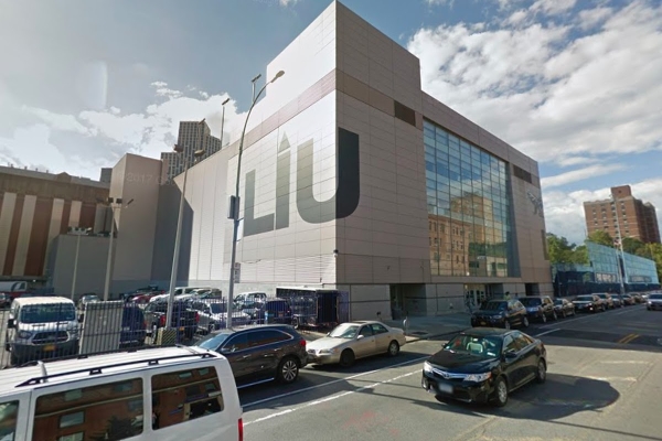 Long Island University