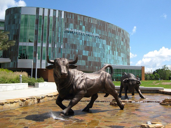 University of South Florida