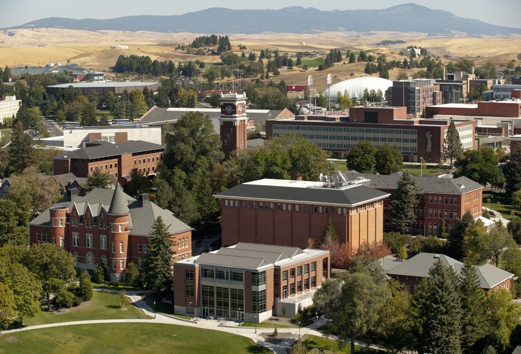 washington state university